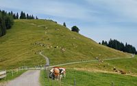 Ofterschwanger Horn